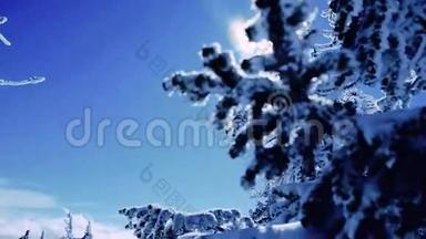 冬天的树木在山上覆盖着新鲜的雪，缓慢地运动。 1920x1080